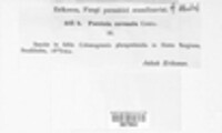Image Associated With the Occurence